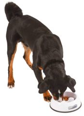 Köpek Yavaş Yeme Kabı Plastik 1000 ml