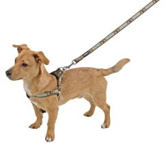 Köpek Göğüs Tasma Wild Life 35 - 60 cm M