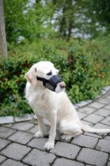 Köpek Ağızlığı Muzzle Nylon 20 – 26 cm