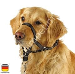 Köpek Eğitim Tasması Maxi Coach 38 cm den küçük