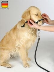 Köpek Eğitim Tasması Maxi Coach 38 cm den küçük