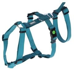 Kaçış Önleyici Köpek Tasması Petrol Yeşili  72 cm - 103 cm, L
