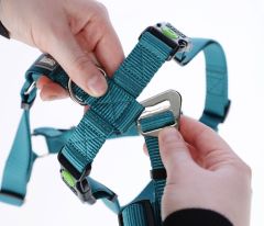 Kaçış Önleyici Köpek Tasması Petrol Yeşili  72 cm - 103 cm, L