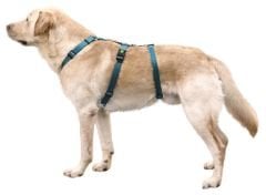 Kaçış Önleyici Köpek Tasması Petrol Yeşili  72 cm - 103 cm, L