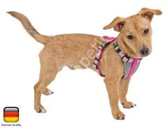 Küçük Irk Köpek Tasması Small Dog 17 - 23 cm XS