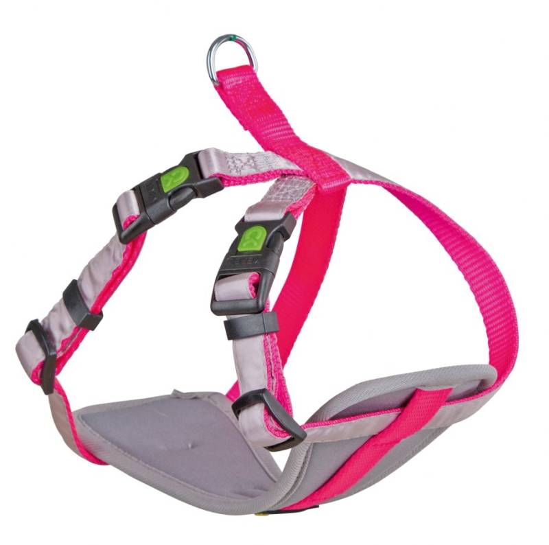 Küçük Irk Köpek Tasması Small Dog 17 - 23 cm XS