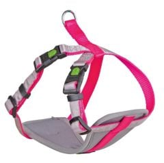 Küçük Irk Köpek Tasması Small Dog 17 - 23 cm XS