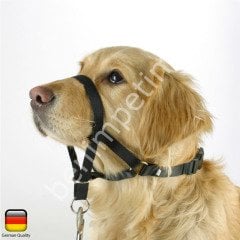 Köpek Eğitim Tasması Maxi Coach 24 cm den küçük