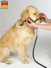 Köpek Eğitim Tasması Maxi Coach 24 cm den küçük