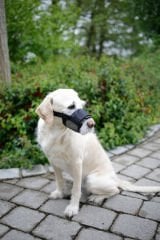 Köpek Ağızlığı Muzzle Nylon 12 – 14 cm