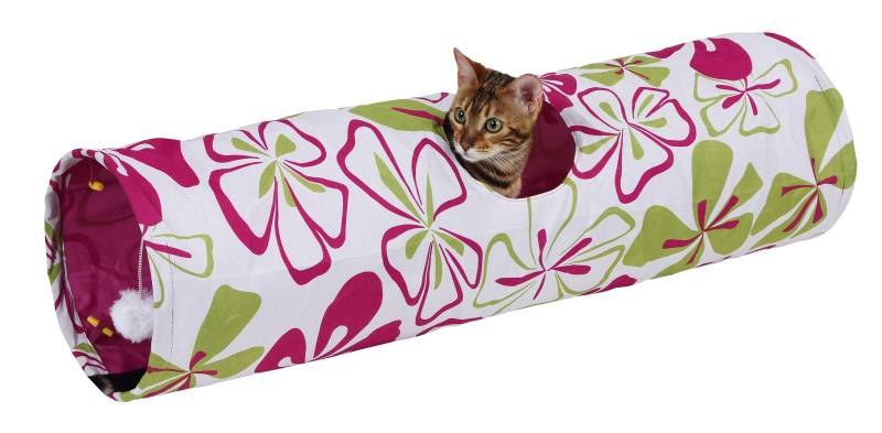 Kedi Tüneli