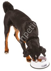 Köpek Yavaş Yeme Kabı Plastik 500 ml