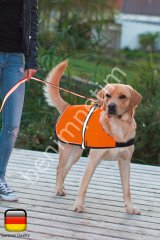 Köpek İçin Yağmurluk LED li