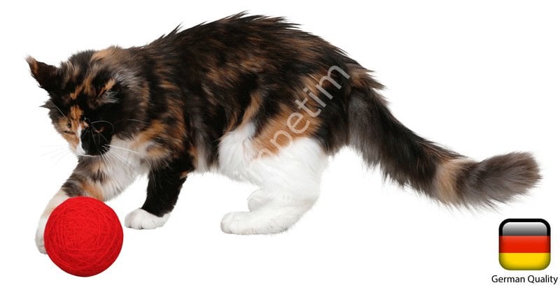 Kör Kediler için Oyuncak Çıngıraklı Kırmızı Yumak [10 cm]