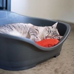 Kedi Yatağı Köpek Yatağı Plastik 68,5 * 49 * 27,5 cm