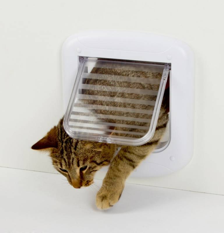 Kedi Kapısı 4 Yollu Kapı 156 x 150 mm