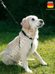 Köpek Eğitim Tasması 25 - 30 cm