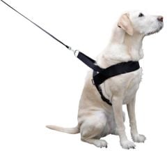 Köpek Bel Tasması Siyah [Norveç Tipi] 60 - 75 cm