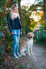 Köpek Gezdirme Kayışı Fosforlu 200cm