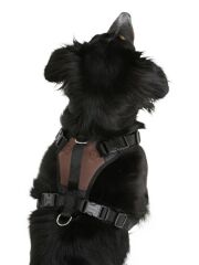 Köpek Gövde Tasması Pulsive Boyun 36-50cm - Göğüs 46-60cm