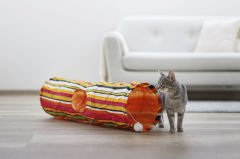 Kedi Oyun Tüneli