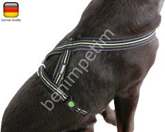 Köpek Sırt Tasması 30 - 40 cm, 15 mm