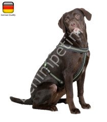 Köpek Sırt Tasması 30 - 40 cm, 15 mm