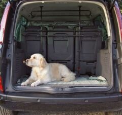 Araç İçi Köpek Separatörü