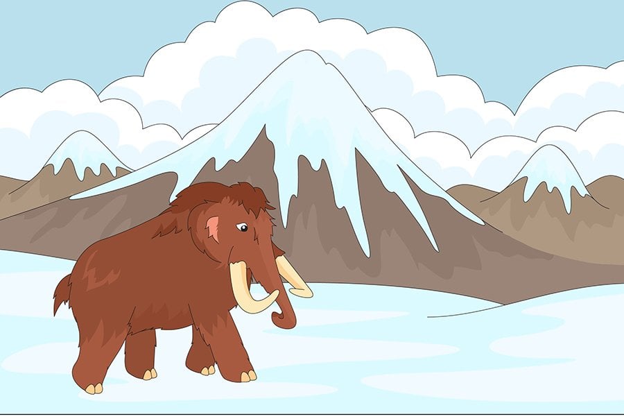 Mamut Sayılarla Boyama Seti