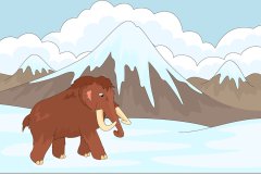 Mamut Sayılarla Boyama Seti