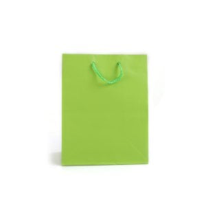Kağıt İp saplı Çanta Yeşil 18x10x23 İthal(12'li)