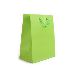 Kağıt İp saplı Çanta Yeşil 18x10x23 İthal(12'li)