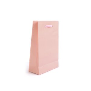 Kağıt İp saplı Çanta Pembe 18x10x23 İthal(12'li)