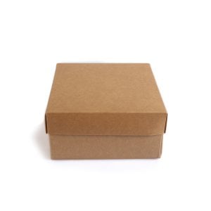 Kraft Demonte Kutu 20x20x10cm (5'li)