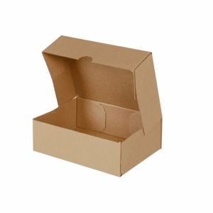 Kargo Kutusu  25x20x10 cm(25 Adet)