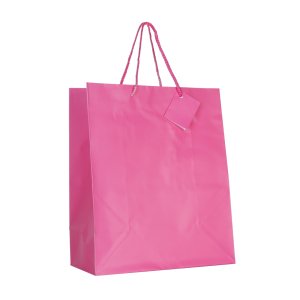 Kağıt Çanta Pembe 25x30x13 (12'li)2018-29