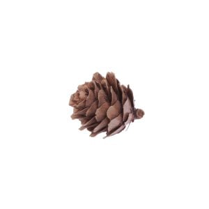 Naturel Kozalak 3x2 cm (1/2 Kg)(250'li)