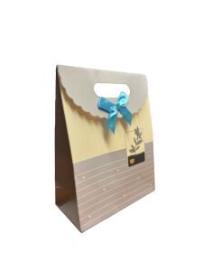 Hediye Paketi 24x28x10 cm 12'li (206-8)
