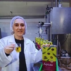 Soğuk Sıkım ve Sıcak Sıkım Zeytinyağı: Farkları Nelerdir?