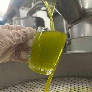 İlk Mahsul 3 Dizyem Erken Hasat Soğuk Sıkım Zeytinyağı Limitli Rezerv 500 Ml