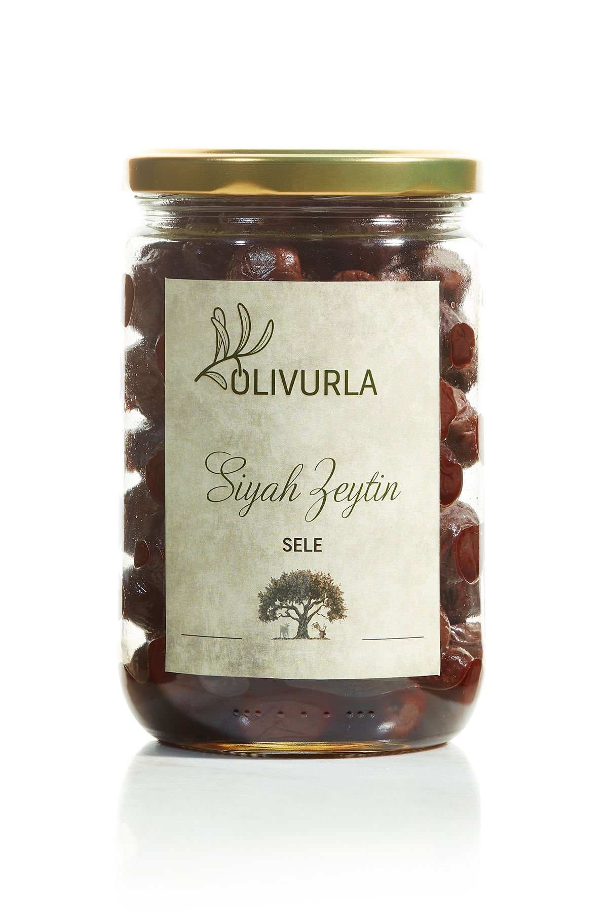Siyah Zeytin - Gemlik Varyetesi