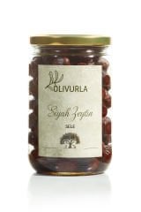 Siyah Zeytin - Gemlik Varyetesi