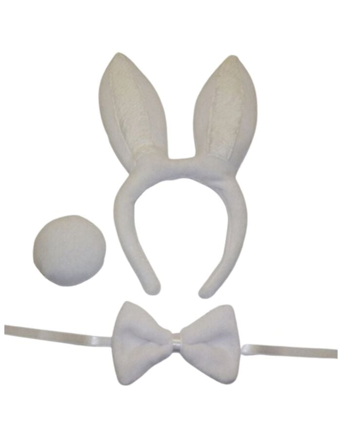 Tavşan Kostüm Set