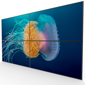 65'' Videowall