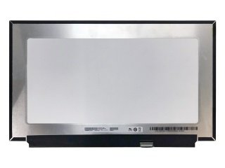 15.6'' LCD Panel, B156HAN12.0
