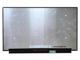 15.6'' LCD Panel, B156ZAN04.0