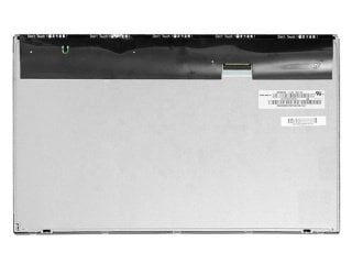 19.5'' LCD Panel, M195FGE-L20