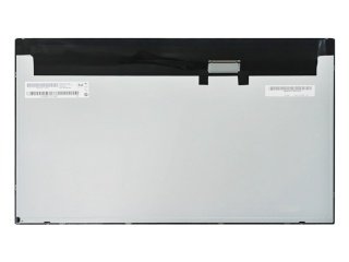 19.5'' LCD Panel, M195RTN01.1