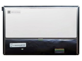 10.1'' LCD Ekran, EV101WXM-N10