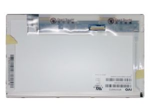10.1'' LCD Ekran,  M101NWT2 R1 (IVO03F4)